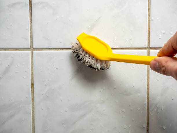 Best Mold Removal Near Me  in Clay, KY