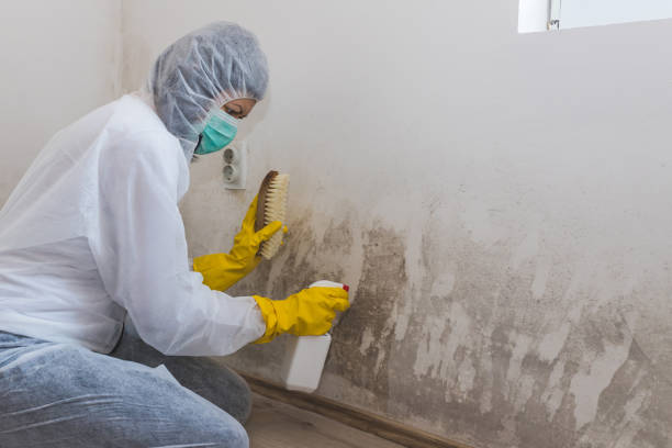 Water Damage Restoration in Clay, KY