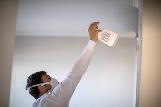 Best Mold Testing  in Clay, KY