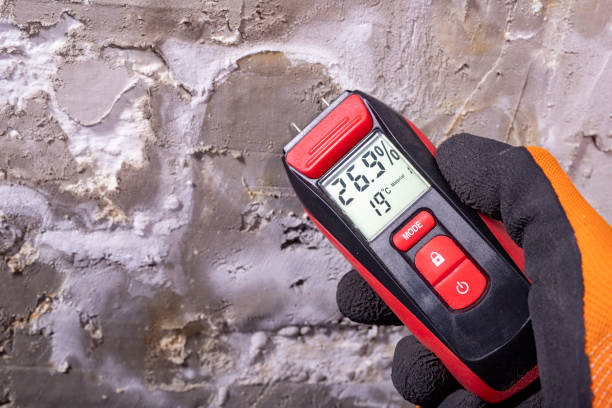 Best Mold Testing  in Clay, KY