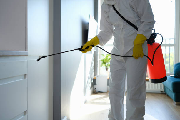Best Commercial Mold Removal  in Clay, KY
