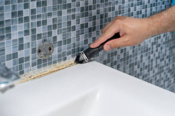 Best Mold Damage Repair  in Clay, KY