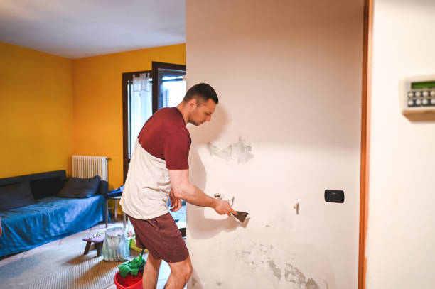 Best Office Mold Removal Services  in Clay, KY